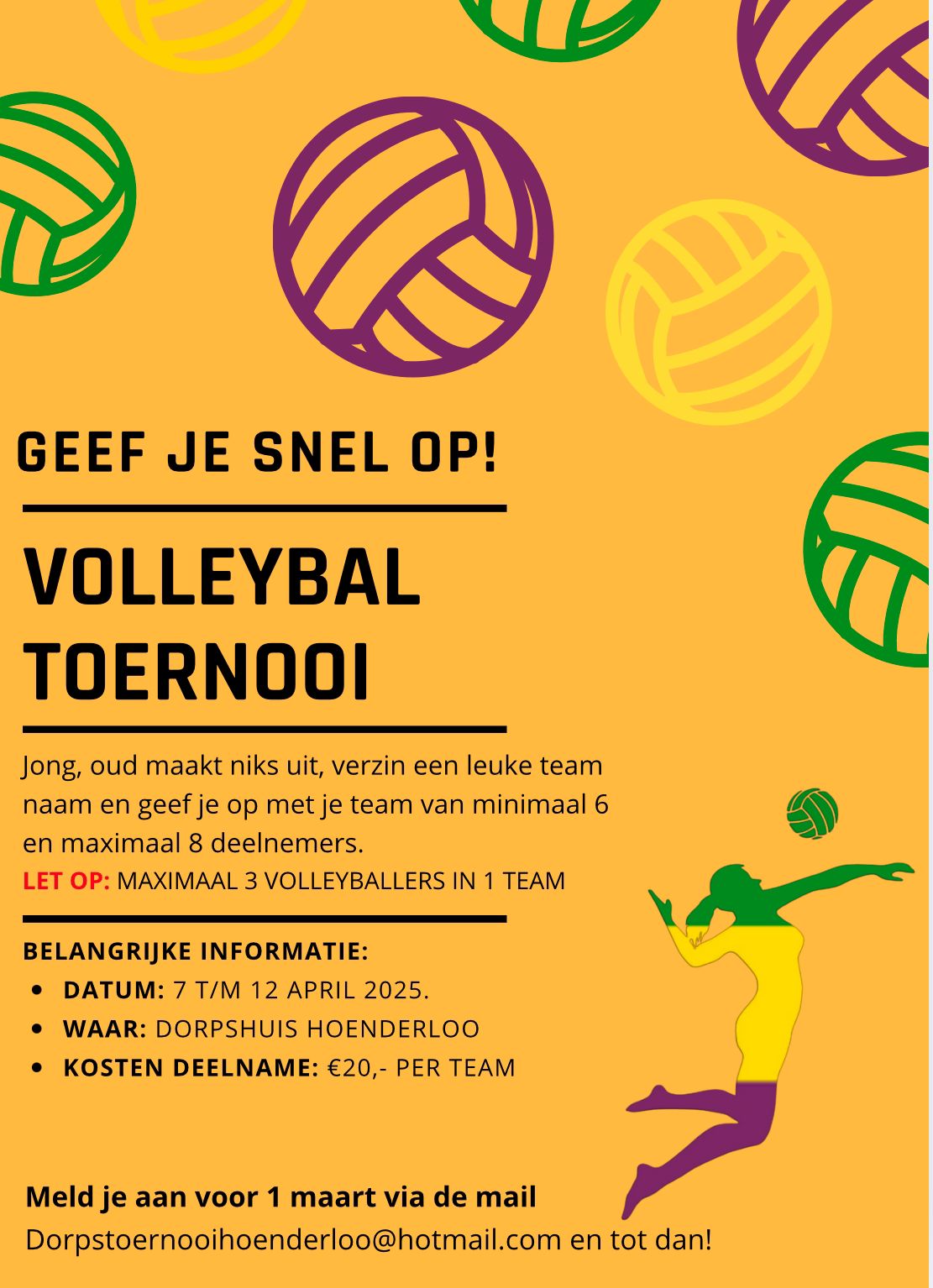 poster volleybal 2025